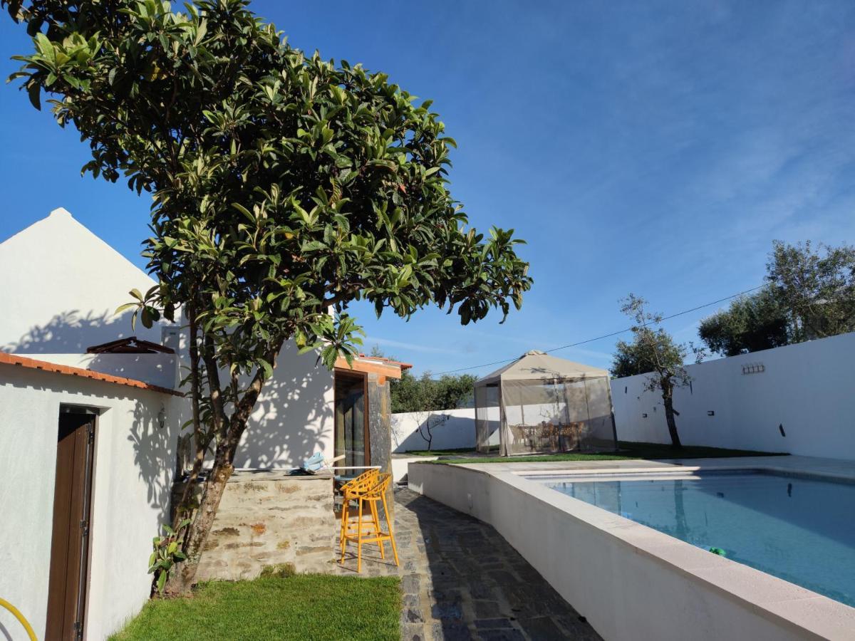 Pomar Das Oliveiras - Private Swimming Pool - Free Ev Chrg - Pet Friendly Carvalhal  Bagian luar foto