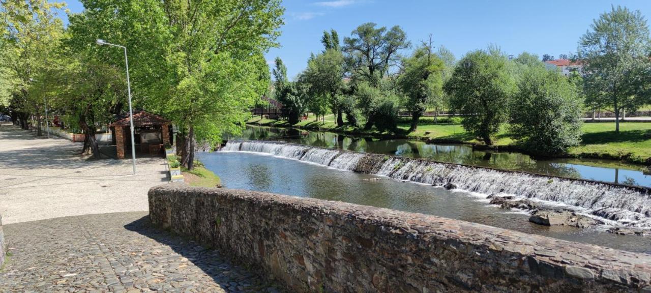 Pomar Das Oliveiras - Private Swimming Pool - Free Ev Chrg - Pet Friendly Carvalhal  Bagian luar foto
