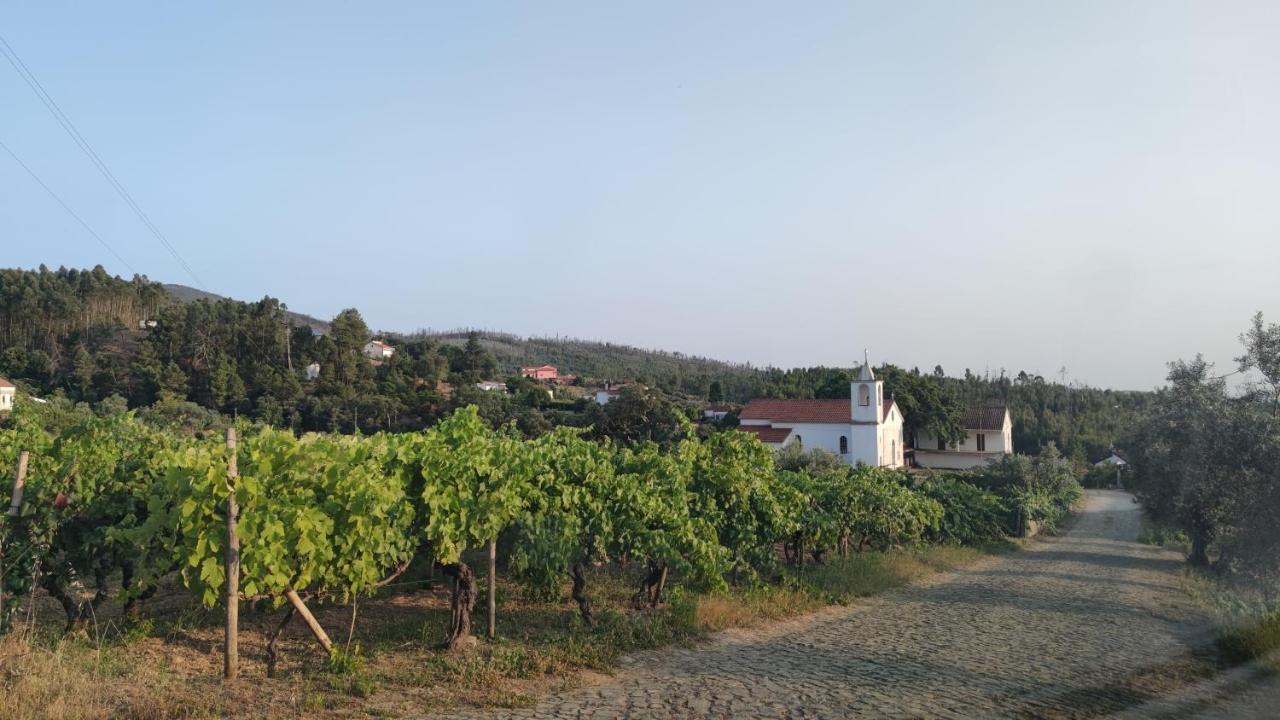 Pomar Das Oliveiras - Private Swimming Pool - Free Ev Chrg - Pet Friendly Carvalhal  Bagian luar foto