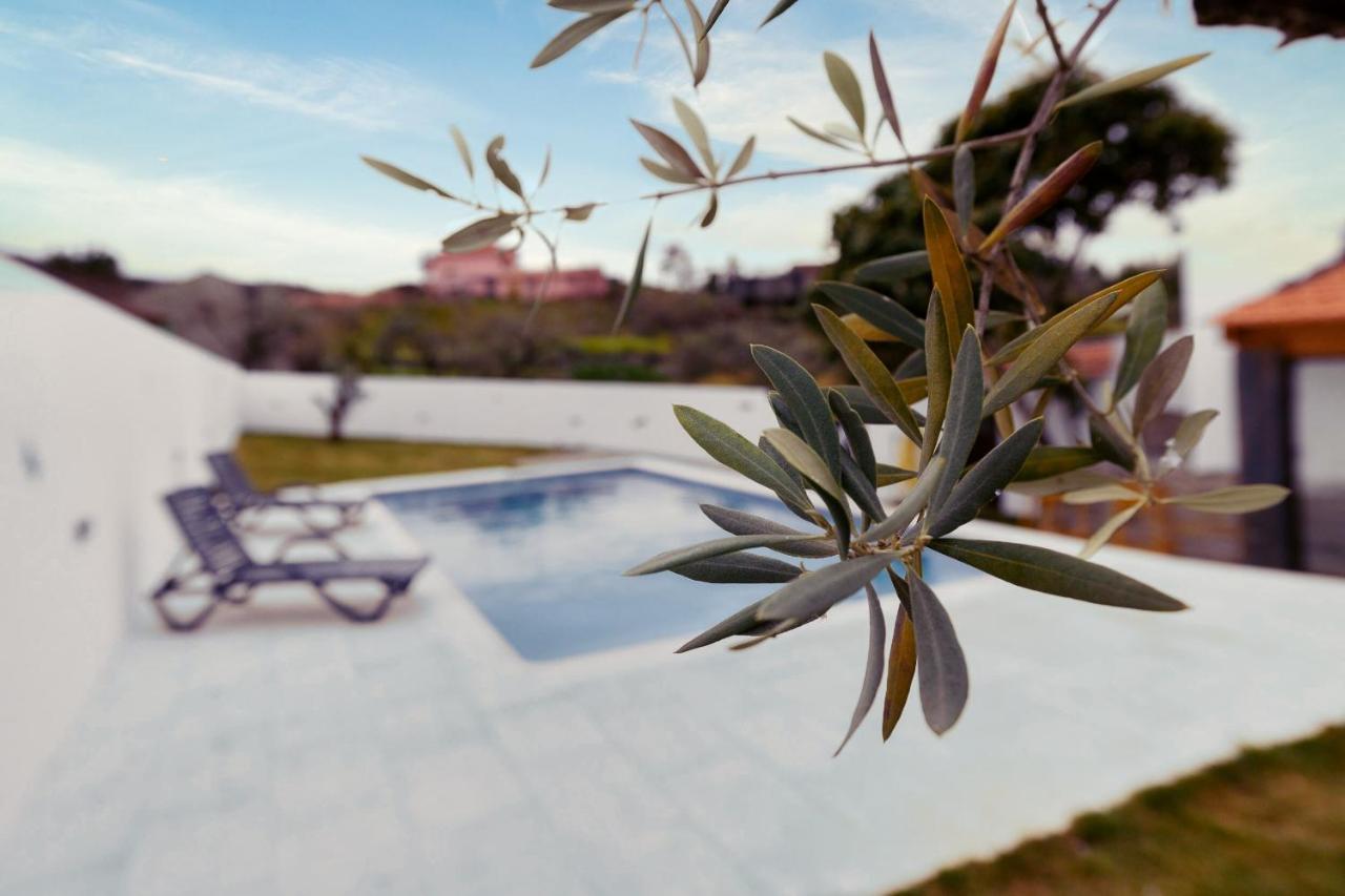 Pomar Das Oliveiras - Private Swimming Pool - Free Ev Chrg - Pet Friendly Carvalhal  Bagian luar foto